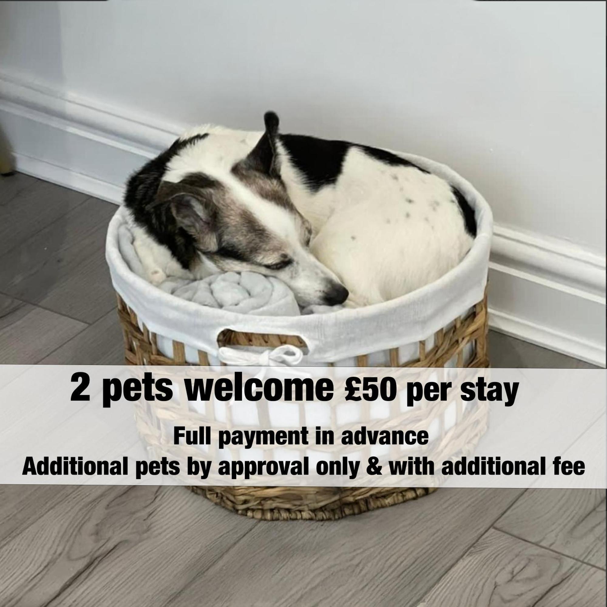 Emerald Delightful Suite Moseley Mews, Birmingham By Staystaycations Екстер'єр фото